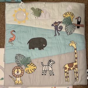 Aden and Anais Baby Playmat